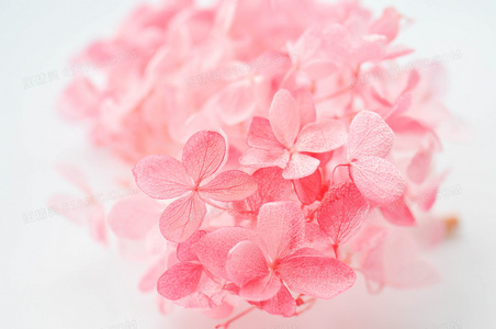 限时福利!热门日剧交换谎言日记官方中字免费放送