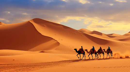 猫千千的治愈法则:当傲娇总裁遇上流浪猫