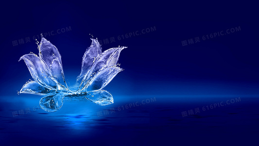 专业影评人如何评价疾风回旋曲？口碑分析来了