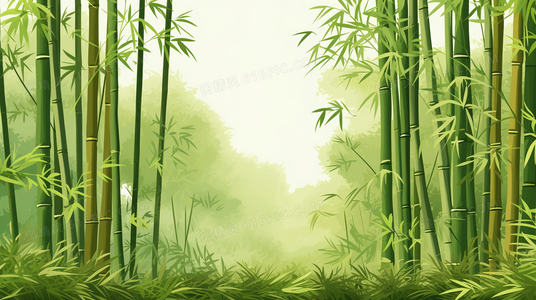 传奇继续:篮球冠军的辉煌与未来