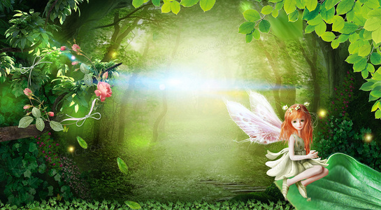 圣诞礼物:一段跨越物种的温暖守护