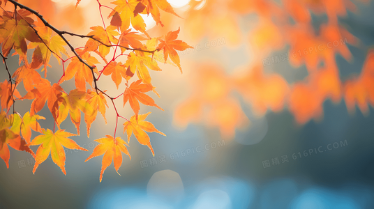 探索西西里:面积如何塑造其历史与文化多样性?