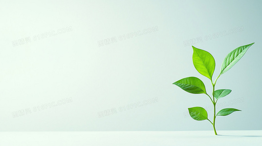 挑战自我:与贼同屋主演如何突破表演舒适区