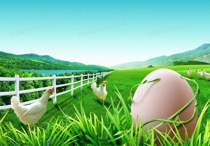 逃山:一场向内的精神远征