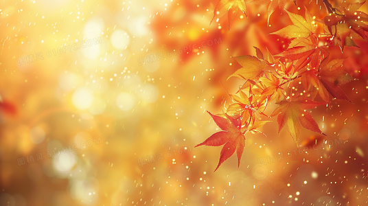 小镇阴影：封闭环境中的罪恶孵化场