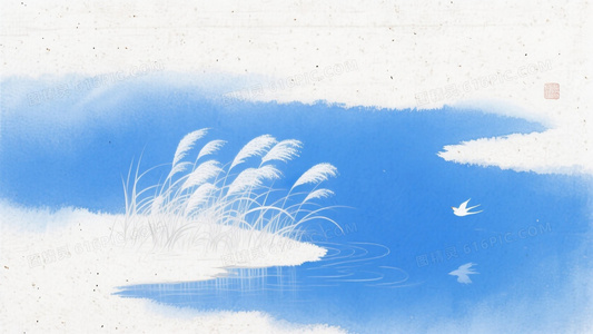 从青涩到游刃有余:小白的综艺成长之路