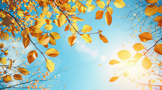 从“单骑”读音争议看古典名著的语言教学困境