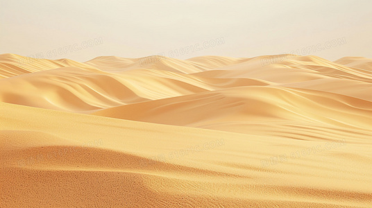 深海杀机：揭秘食人鲨游戏的生存法则