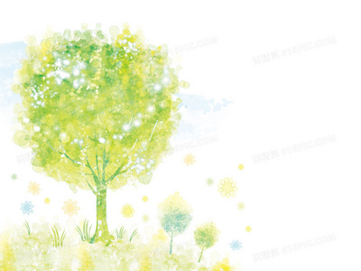 不止于表面：高端清洗服务包含哪些特色项目？