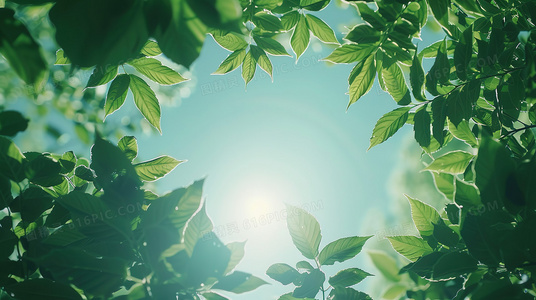 隐世仙尊的赘婿生活:低调是最强的炫耀