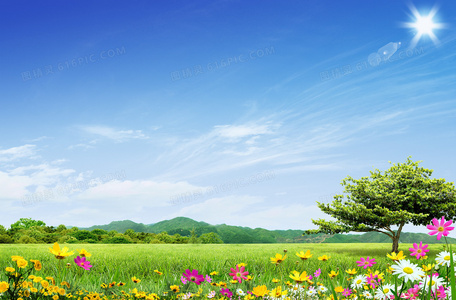 太阳墓的发现者是谁？探寻考古史上的重要合作