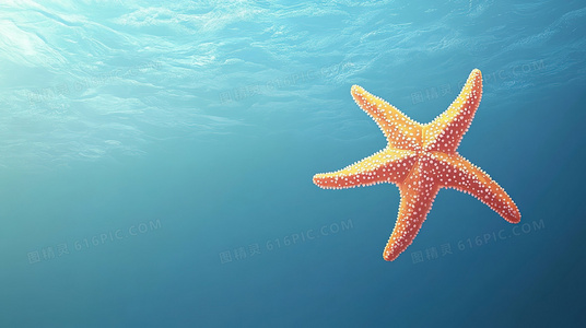 新灰姑娘1免费在线观看指南:正版平台与资源推荐