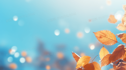 大团圆结目录大全与家庭伦理观念的视觉表达