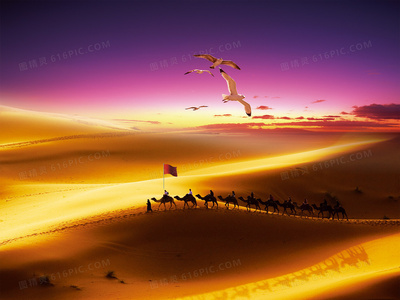 全网热播!东北往事我叫刘海柱完整版高清在线观看指南