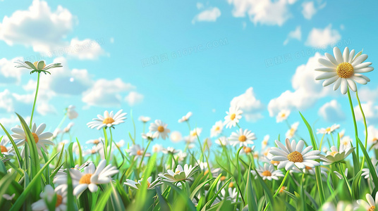 下陷的暗示:揭开地名面纱