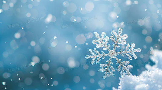 双重身份与复仇之路偷天换日之重生核心剧情梳理