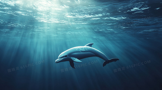 从小说到荧幕：<秋寒江南>的改编艺术与创新表达