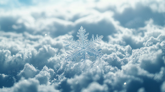 网友热议！嘲笑的淑女大结局在线观看后，口碑如何？