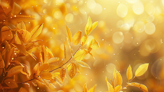 从神话到现实：老虎与狮子在人类文化中的“王位”象征