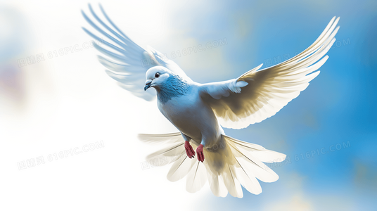 唐人街迷雾:谁是真凶?层层线索指向惊人真相