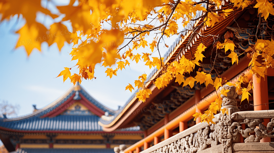 火候、刀工、心意：厨王争霸中的三重境界