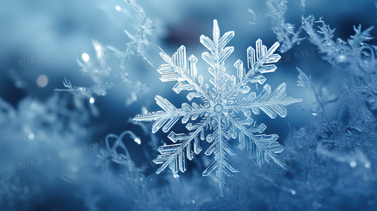 面具与真相：三张面孔评价中的多重身份困境解析