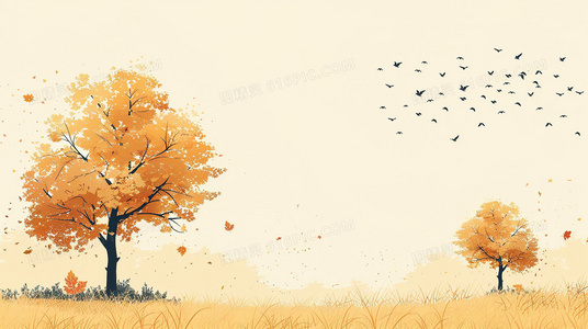 深夜直播间：那些欢笑与眼泪的真实记录