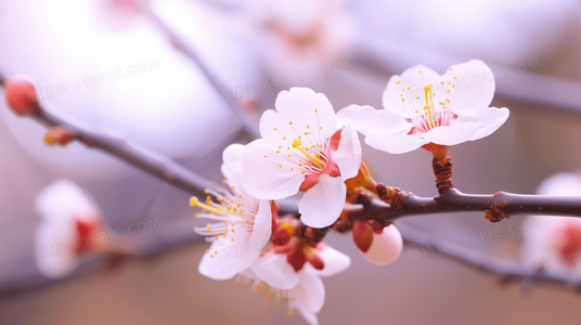 空中大灌篮2票房飘红，体育跨界电影是否迎来新风口？