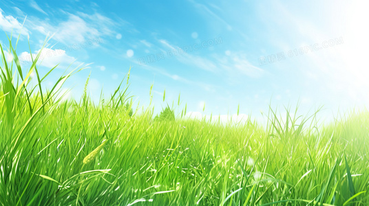 协议婚姻还是真爱?艾莉丝与伊娜章节的感情深度分析