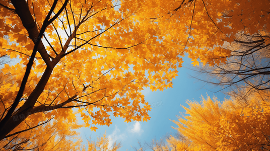 限时福利：手握星辰终是你短剧免费在线观看