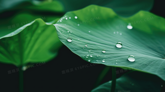 术法、命运与选择：论遁甲中的哲学隐喻