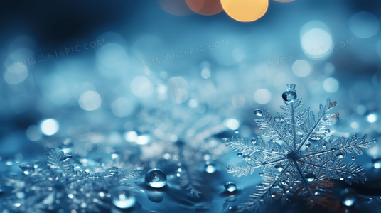 免费阅读 | 一个导演如何在荒诞电影圈杀出血路