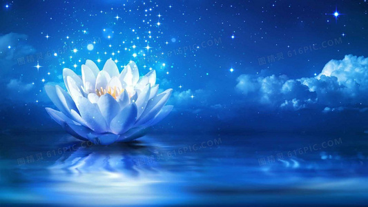 冠军战队专访:飞驰吧少年第二季夺冠的汗水与泪水