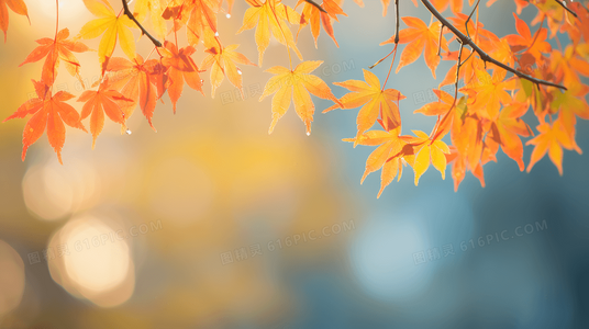 未来已来？从降妖贱师看下拉式漫画可能面临的挑战与机遇