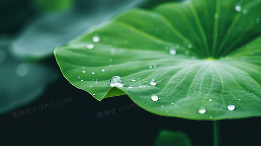 撕票风云全明星阵容盘点:任达华、苗侨伟领衔警匪对决