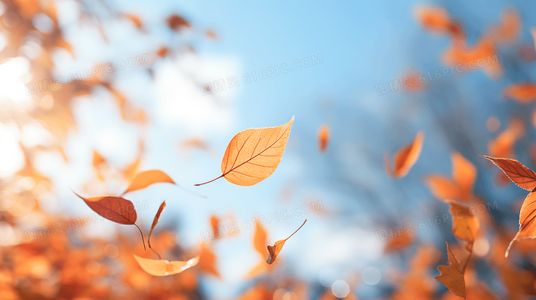 不是不爱，只是累了：给疲惫婚姻的修复路线图