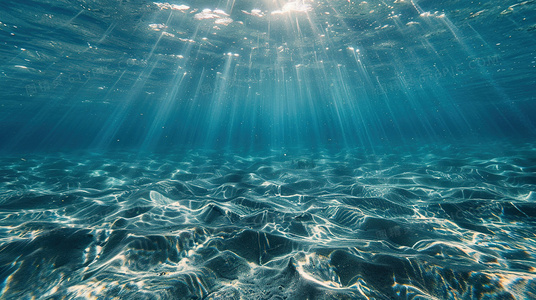 七秒记忆的谎言：我与金鱼的故事