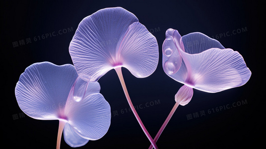 通职者:当“万金油”职业成为超能力