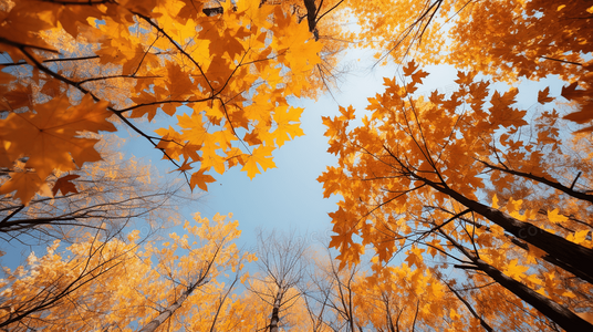 超越语言的共鸣：不可思议的旅程为何风靡全球读者