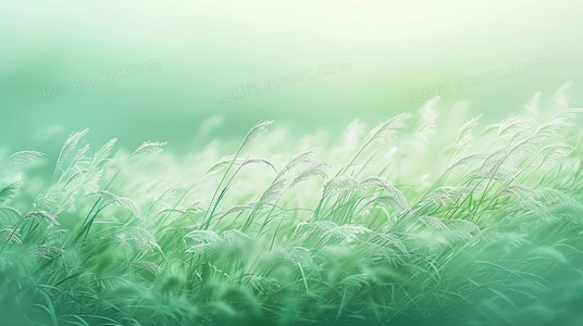 当新闻成为表演：危机最前线对媒体异化的警示