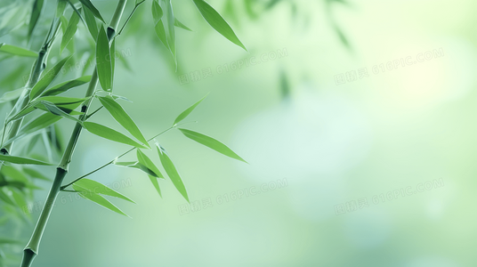 内外兼治:防己黄芪汤对慢性水肿与皮肤病的调理作用